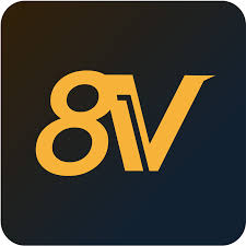 8v