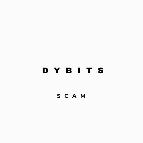 Dybits
